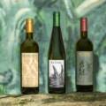 Cosa sono i vini PIWI — e perché dovresti berli